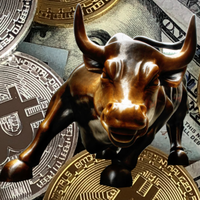 CRYPTOBULLRUN